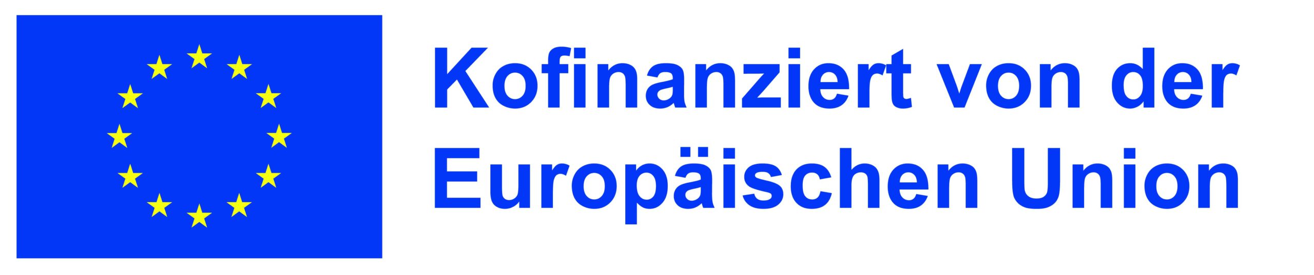 DE-Kofinanziert-von-der-Europaeischen-Union_POS1-scaled.jpg
